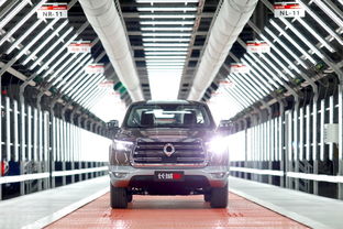 上市即爆款，長城炮十月銷量突破5020臺領跑市場